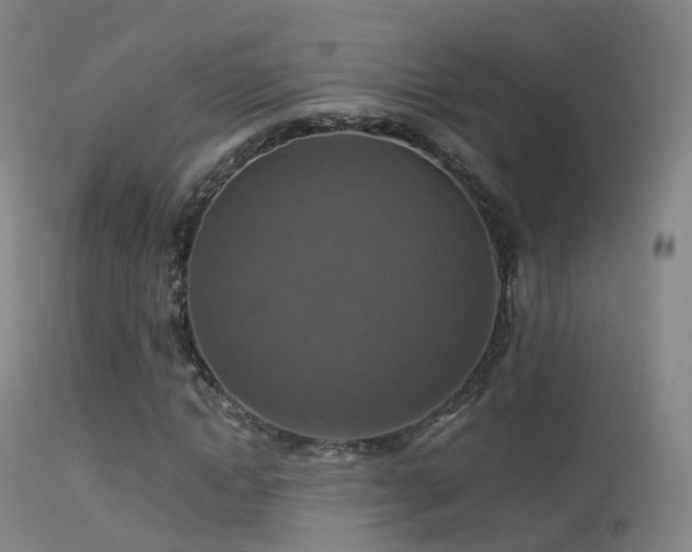 X0000113230822200909171537