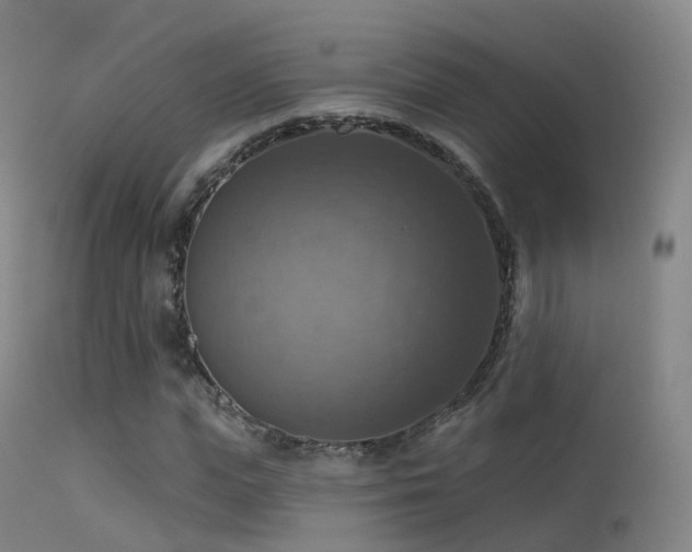 X0000113230823200909171537