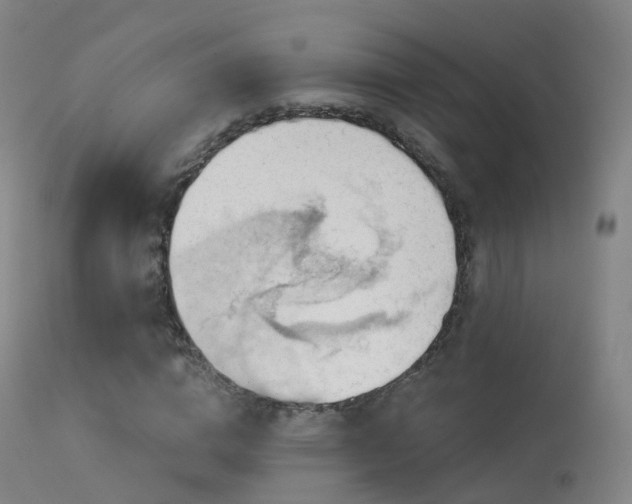 X0000113230824200909171537