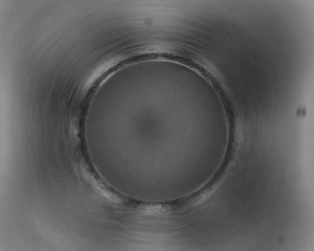 X0000113230826200909171537