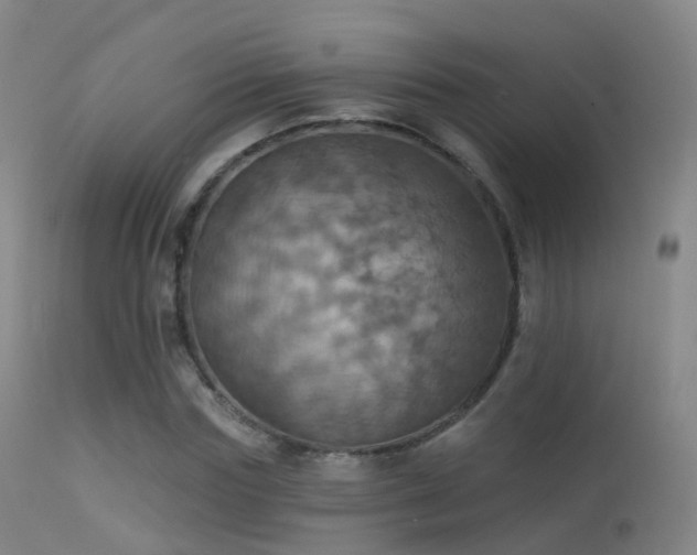 X0000113230827200909171537