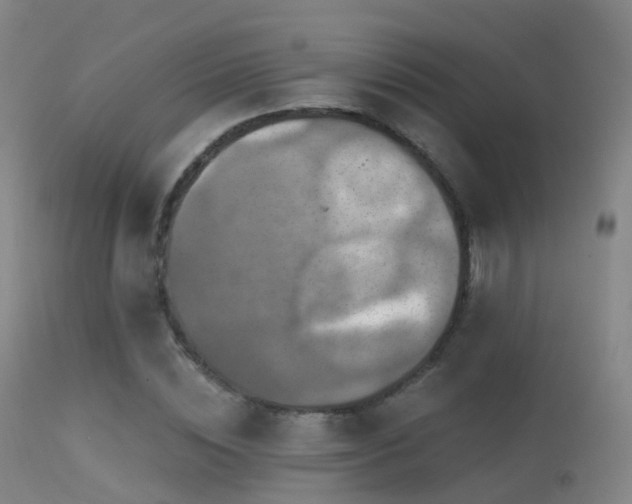 X0000113230828200909171537