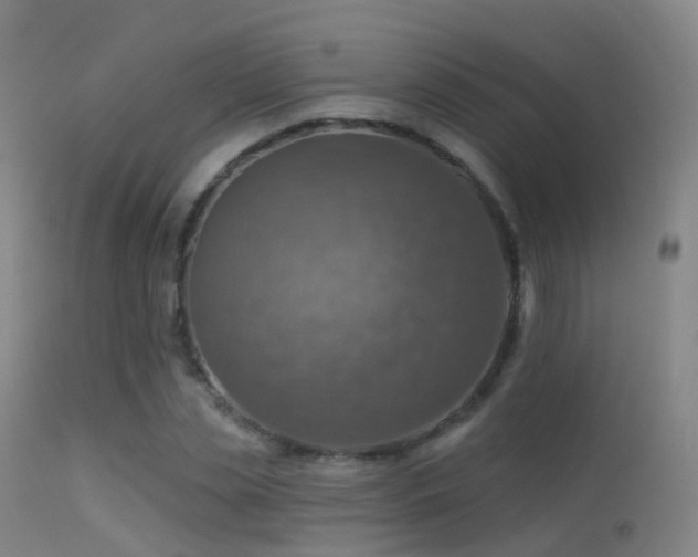 X0000113230829200909171537