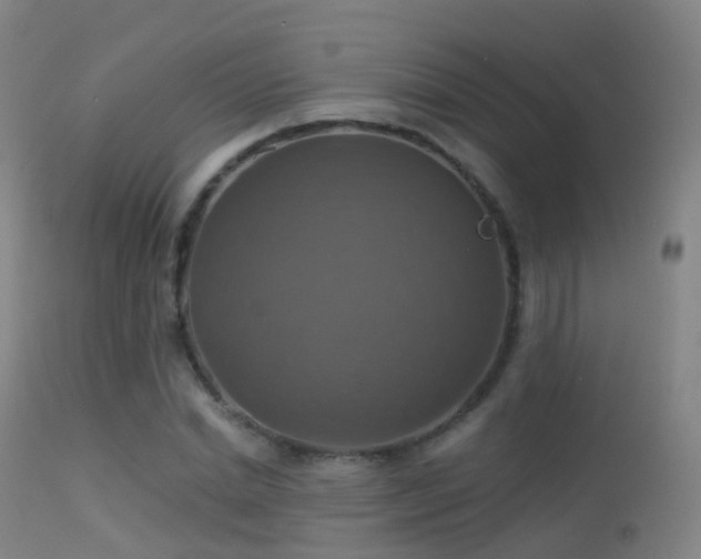 X0000113230830200909171537