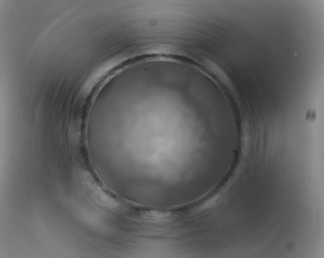 X0000113230831200909171537