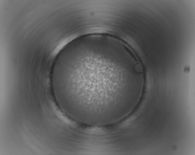 X0000113230834200909171537