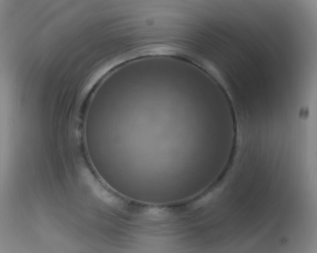 X0000113230835200909171537