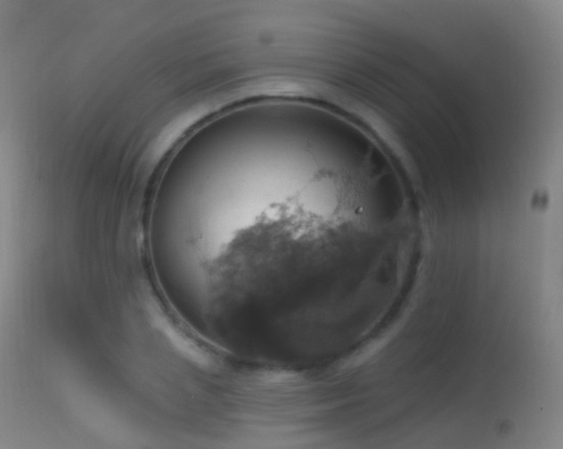 X0000113230837200909171537