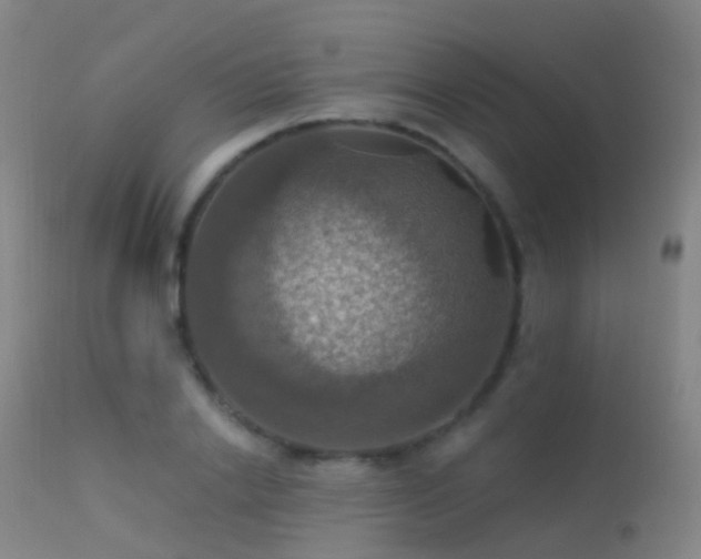 X0000113230838200909171537