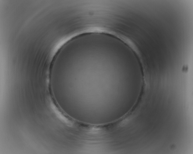 X0000113230839200909171537