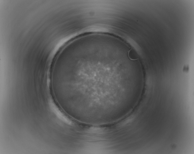 X0000113230840200909171537