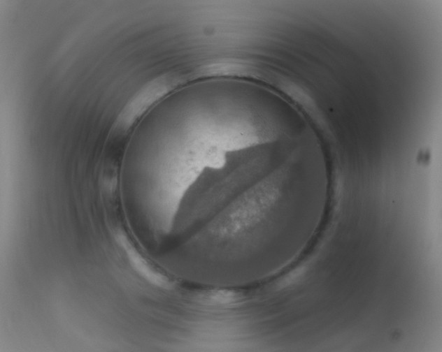 X0000113230841200909171537