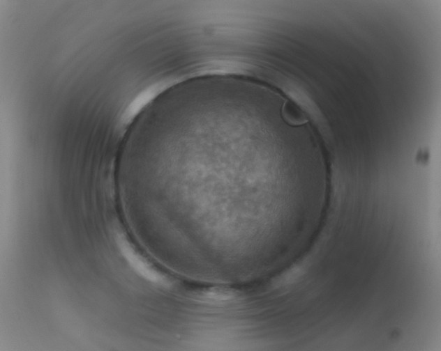 X0000113230842200909171537