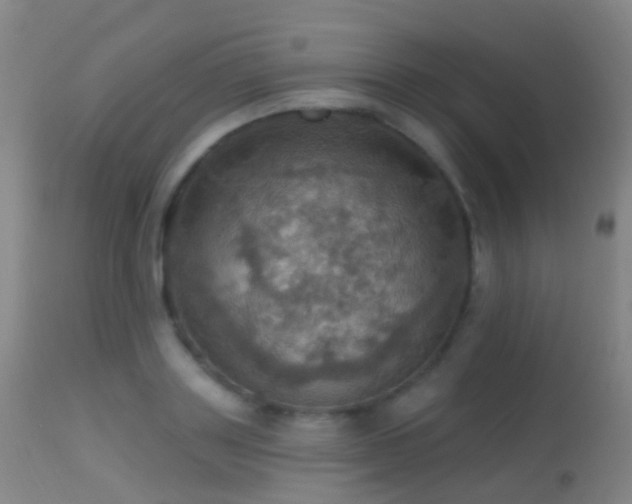 X0000113230843200909171537