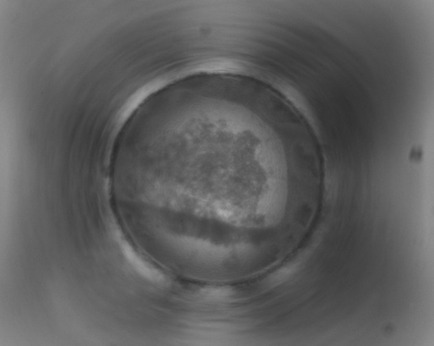 X0000113230845200909171537