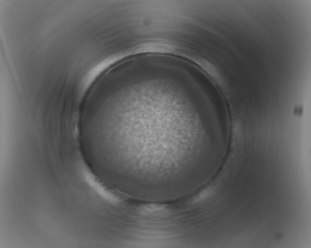 X0000113230846200909171537