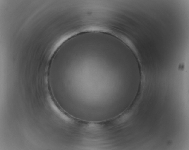 X0000113230847200909171537