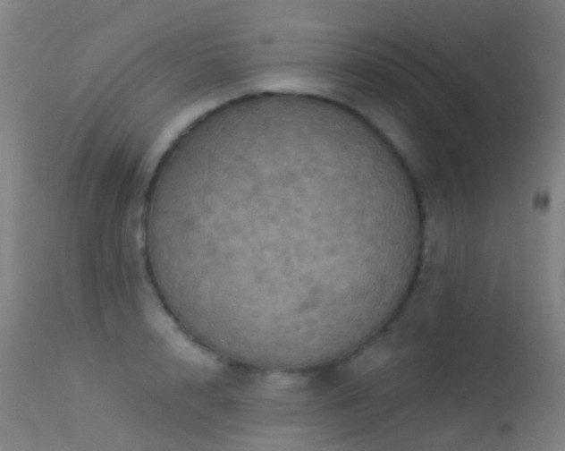 X0000113230848200909171537