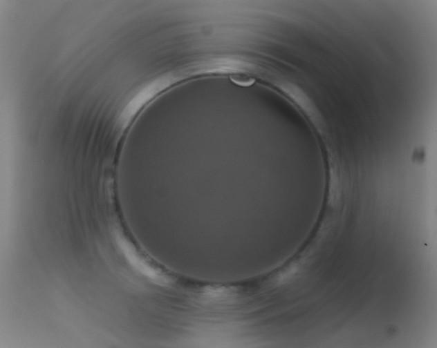 X0000113230850200909171537