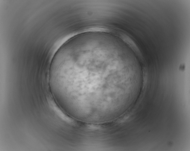 X0000113230852200909171537