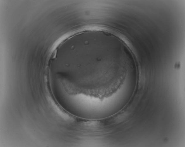 X0000113230853200909171537