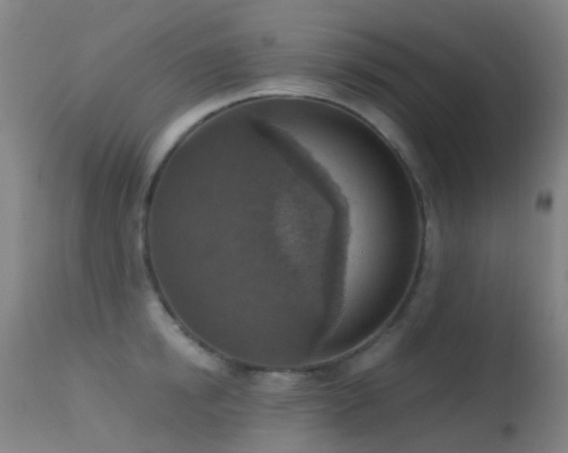 X0000113230854200909171537