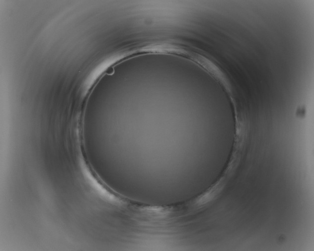 X0000113230855200909171537