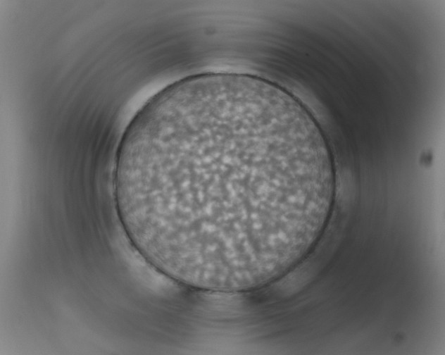 X0000113230856200909171537