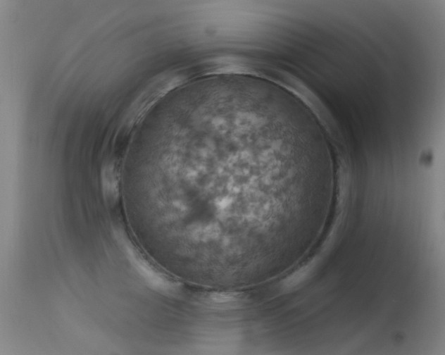 X0000113230857200909171537