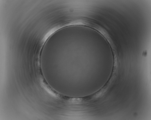 X0000113230858200909171537