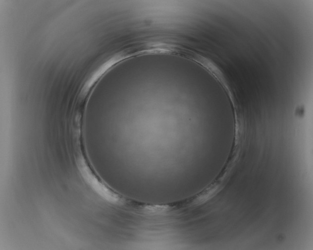 X0000113230859200909171537