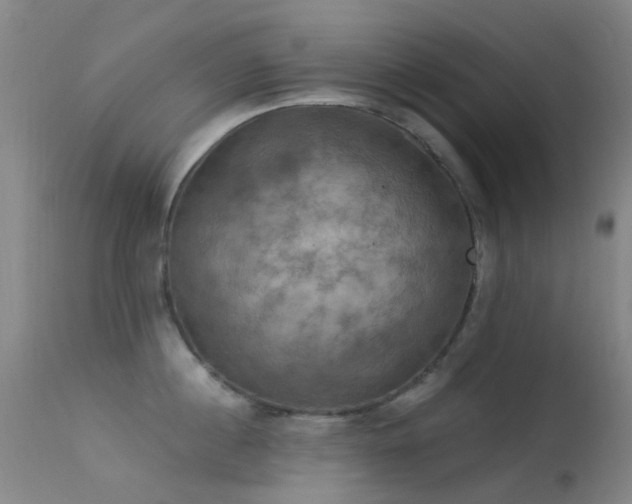 X0000113230860200909171537