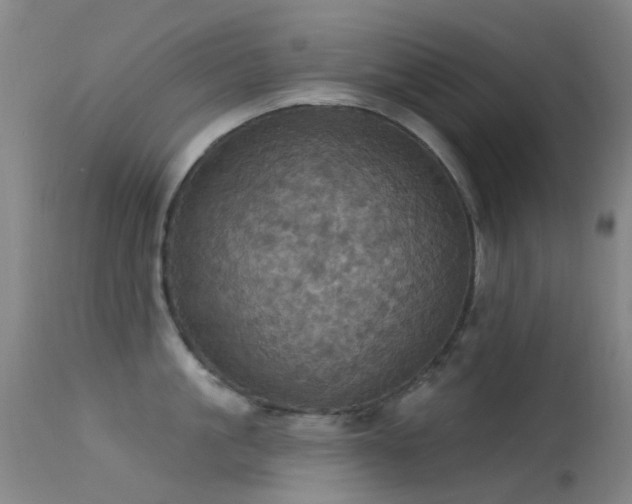 X0000113230861200909171537