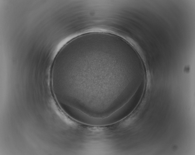 X0000113230862200909171537