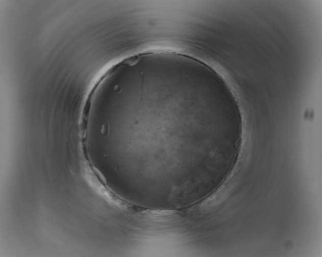 X0000113230864200909171537