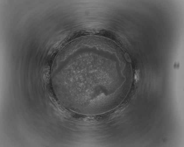 X0000113230867200909171536