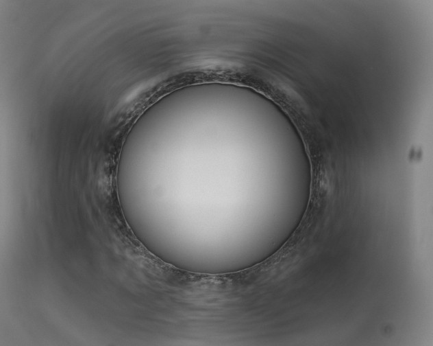 X0000113230869200909171536