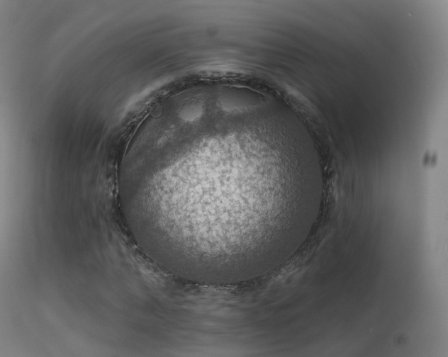 X0000113230870200909171536