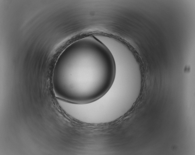 X0000113230872200909171536