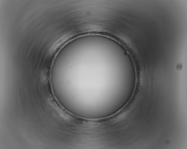 X0000113230873200909171536