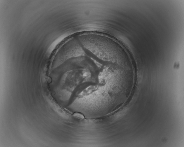 X0000113230875200909171536