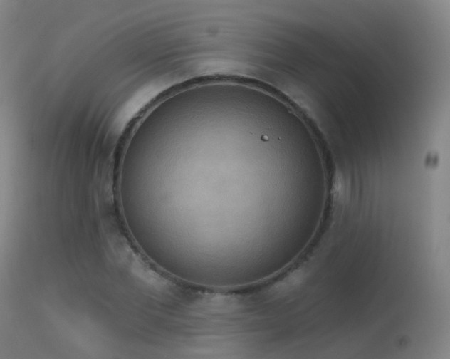 X0000113230877200909171536