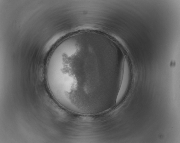 X0000113230878200909171536