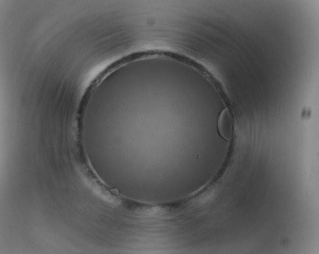 X0000113230879200909171536