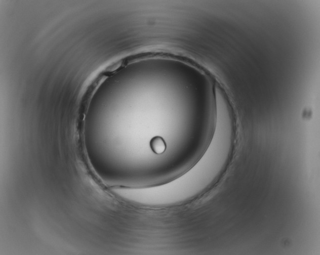 X0000113230880200909171536