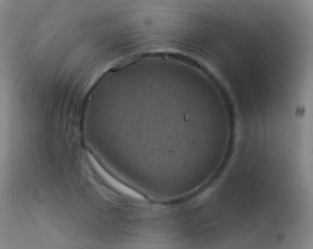 X0000113230881200909171536