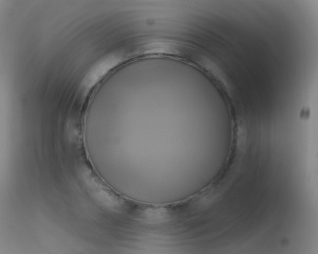 X0000113230882200909171536