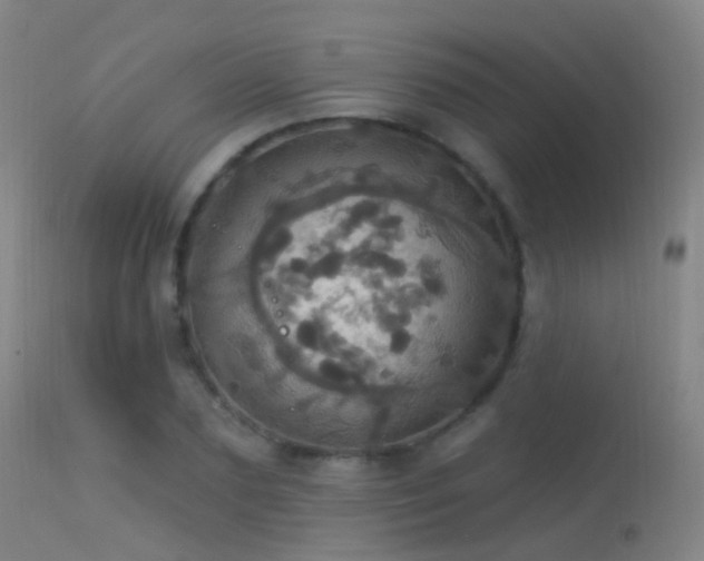 X0000113230883200909171536