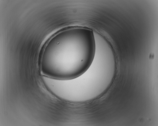 X0000113230884200909171536