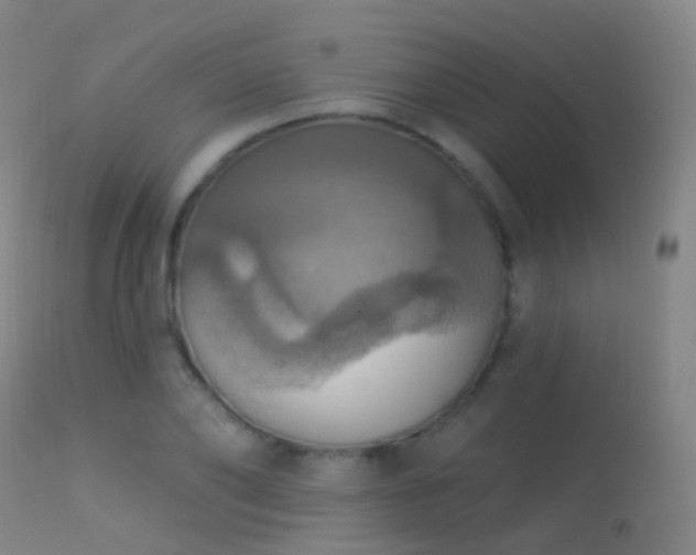 X0000113230886200909171536